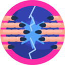 entertainment,ball,witch,magic,magic ball,crystal ball,Future,astrology,magician,wizard